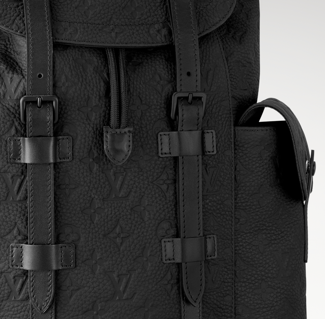 Louise Vuitton Backpack